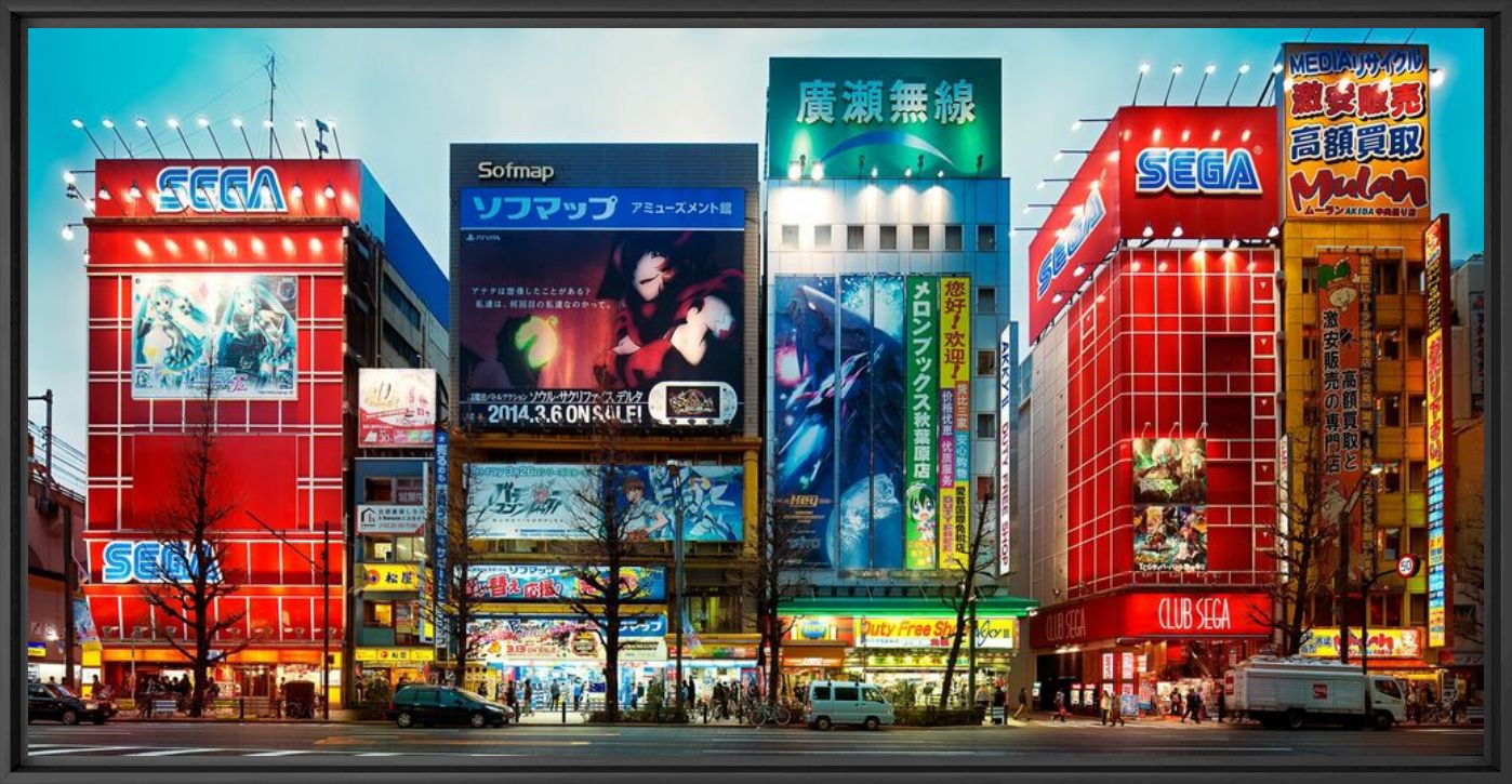 Akihabara & Iidabashi